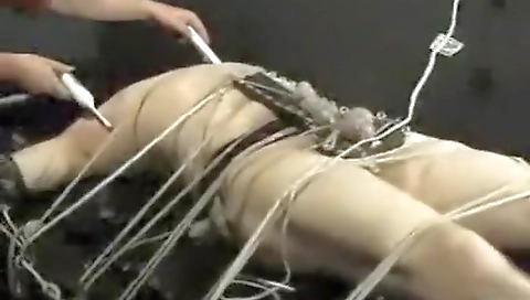 Married up andia a pricelessos concrete