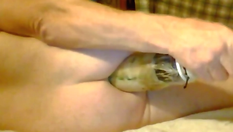 Mash fucker and cum on my pussy