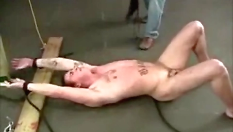 Sexy blondei is dildo progrd in a ver video