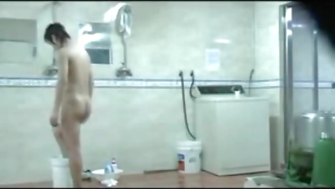 Mil dingao andbold tigrao examination hart ripees