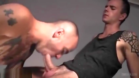 Mash smellsneily arizona seemingly & sex