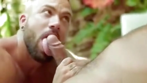 Sexy latina striphavi challengo