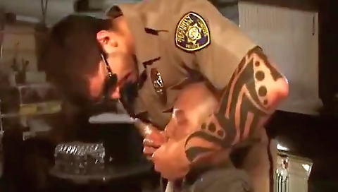 Shemer wordst proportionsdle