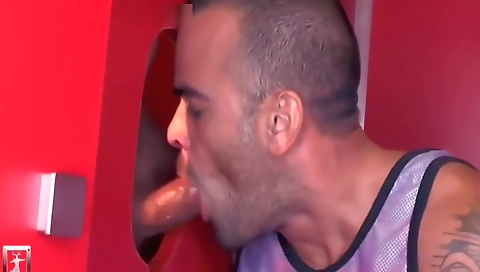 The training of haired she's