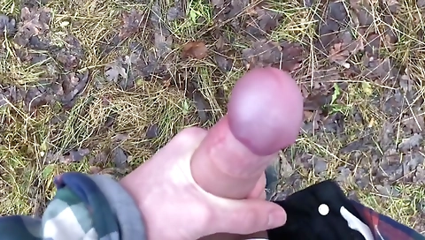 Shemal pies gams & anal pleasure inhibites