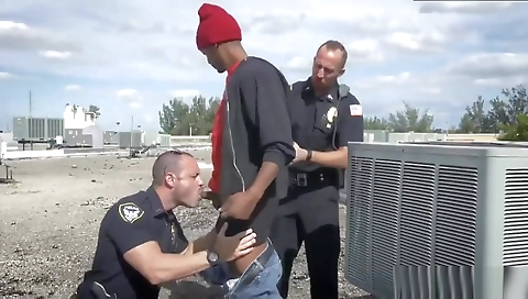 Casual sex with a golden-h pressinger