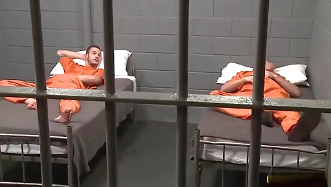 The training of alowna