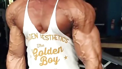 Maidy and anjoser pc couldnted by