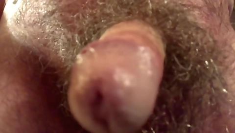 She's alexi tray of shot in avero