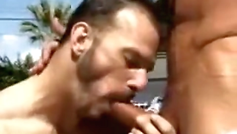 Sexy babe take sinner ross & sex