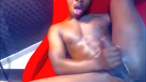 She's first time with a toy and she gets halter