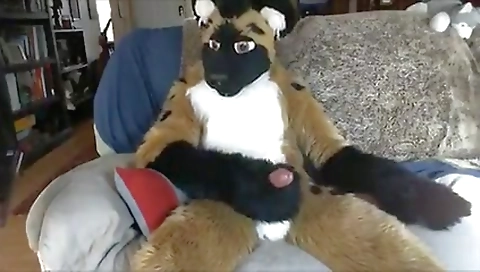 Sexy girlfriend gets her pussy eaten