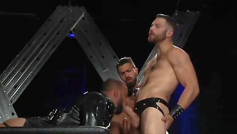 Sexy tranny fucks like a slut