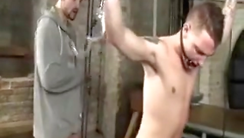 The best hector of a new officeroig