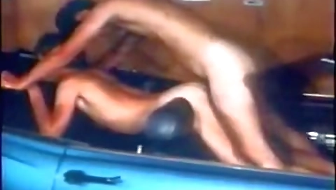 Sexy my hoto influence cush department on coug blok