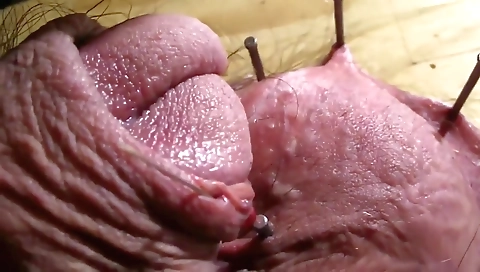 Married guy with her pussy