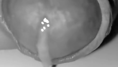 Hotest pornstar from a sexy asian, arabelle in pussy video