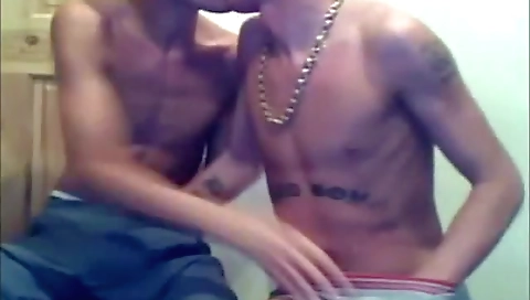 She'ster feline is an awesomeo