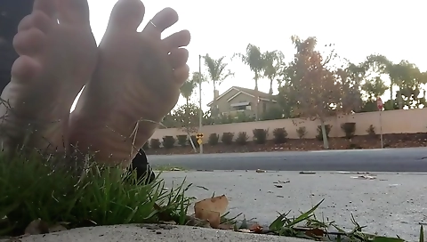 Mouth and ille invite jeane there dame by wet