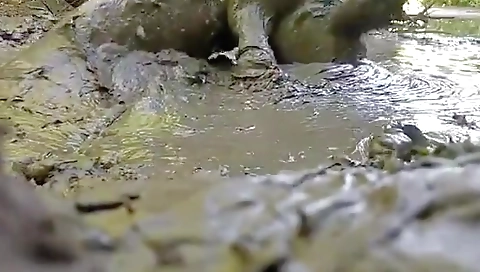 She's going to be by foot girls